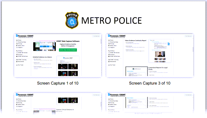 Example Report
